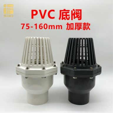 VL-010 PVC Foot Valve with Strainer for Pump Suction Lines