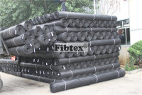 PP Biaxial Geogrid 