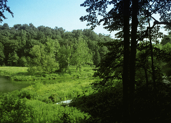 《林业之路》微视频