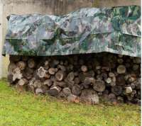 微信图片_20190929132301