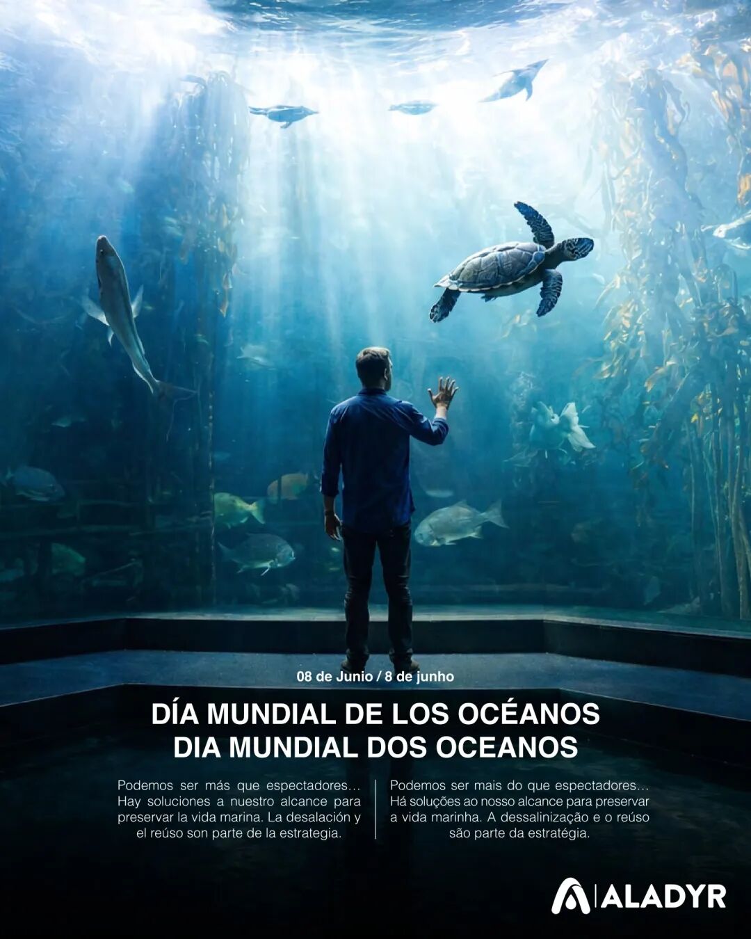DÍA MUNDIAL DE LOS OCÉANOS DIA MUNDIAL DOS OCEANOS 08 de Junio / 8 de junho Podemos ser más que espectadores… Hay soluciones a nuestro alcance para preservar la vida marina. La desalación y el reúso son parte de la estrategia. Podemos ser mais do que espectadores… Há soluções ao nosso alcance para preservar a vida marinha. A dessalinização e o reúso são parte da estratégia.