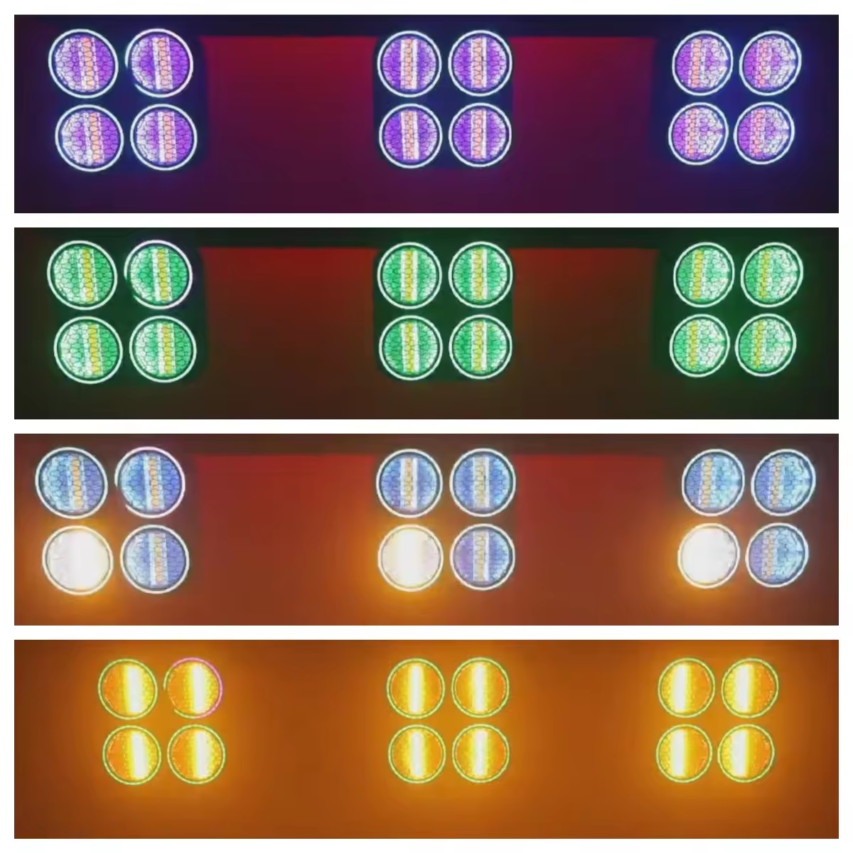 微信图片_20240904155413