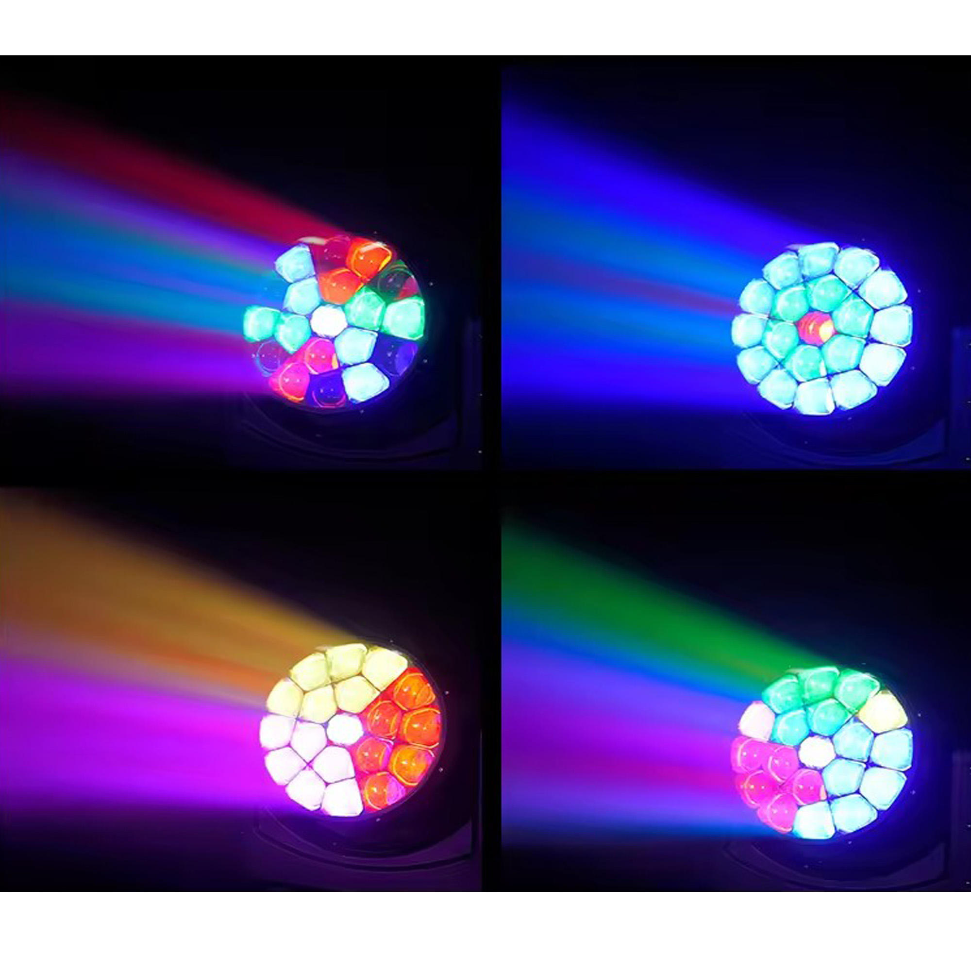 微信图片_20251212213123