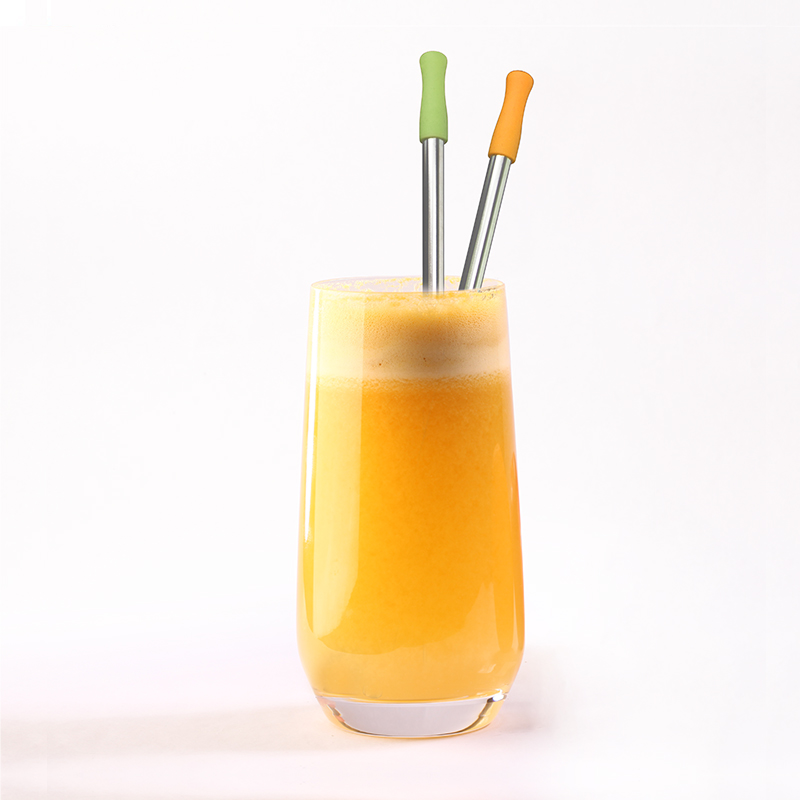 ST003 Stainless Steel Straw With Silicone Tips 1