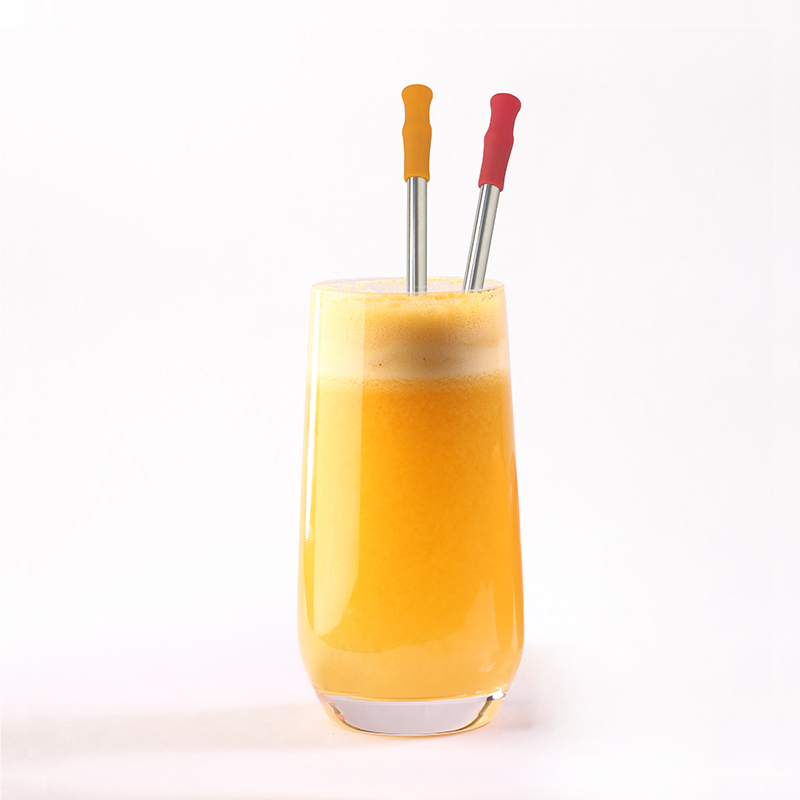 ST004 Stainless Steel Straw With Silicone Tips 1