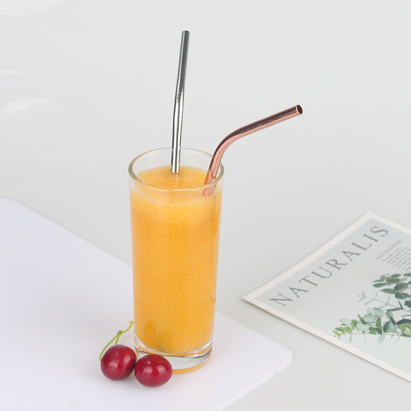 ST010 Metal Stainless Steel Straw 1