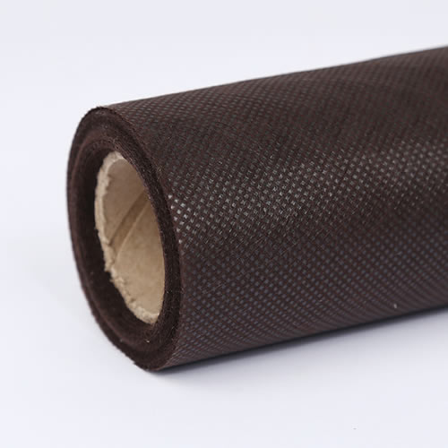 rpetpla-11jpg rpetpla-11jpg