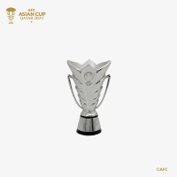 AFC23-TR-0006-01