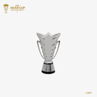 AFC23-TR-0006-02