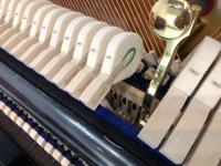 20210729195348_69279