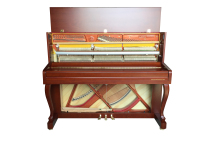 只抠图IMG_8951-2拷贝