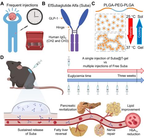 Diagram
AI-generated content may be incorrect.