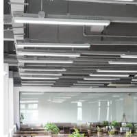 linear-light-Bangkok2017