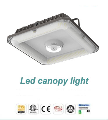 canopy light