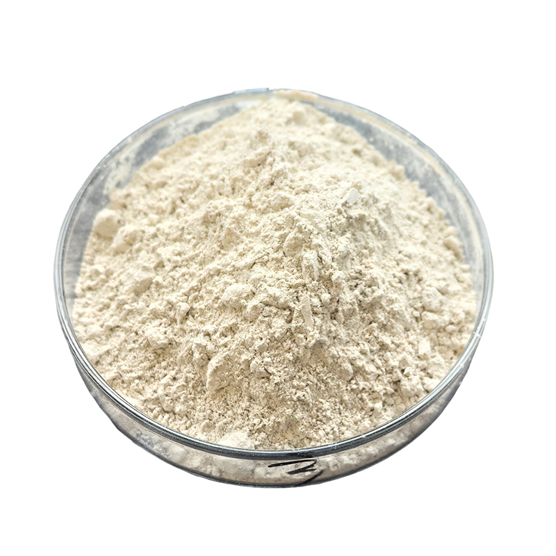 微信图片_20241226094048