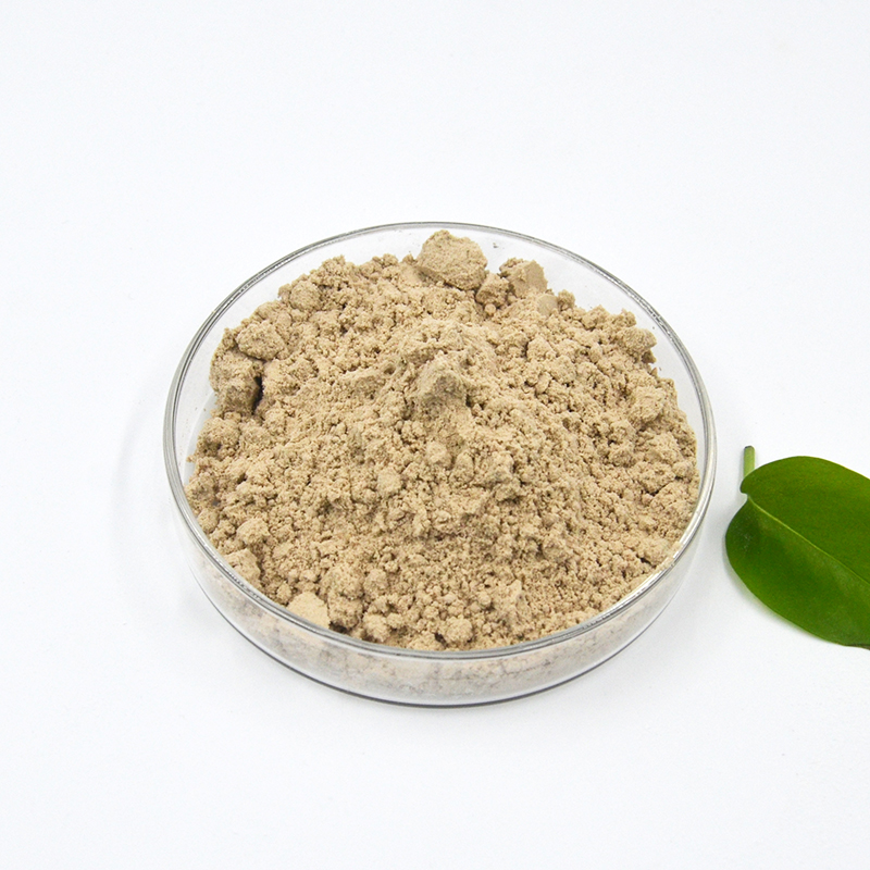 362消泡剂-DSC_1681