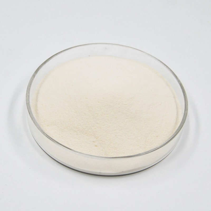 西卡540P减水剂-3