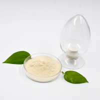 西卡556P减水剂-1