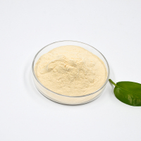 西卡556P减水剂-2