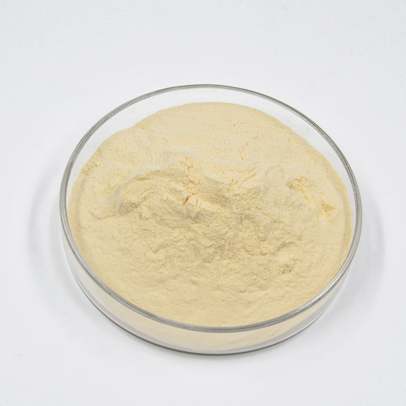 西卡556P减水剂-3