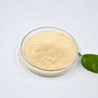 Sika西卡200P石膏缓凝剂-1