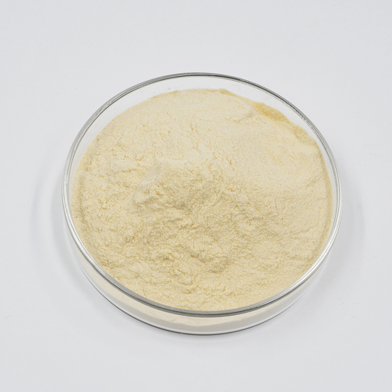 Sika西卡200P石膏缓凝剂-2