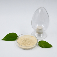 Sika西卡200P石膏缓凝剂-4