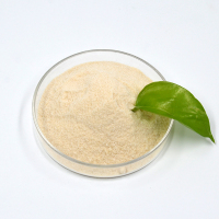 西王葡萄糖酸钠-4