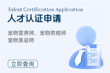 人才认证申请