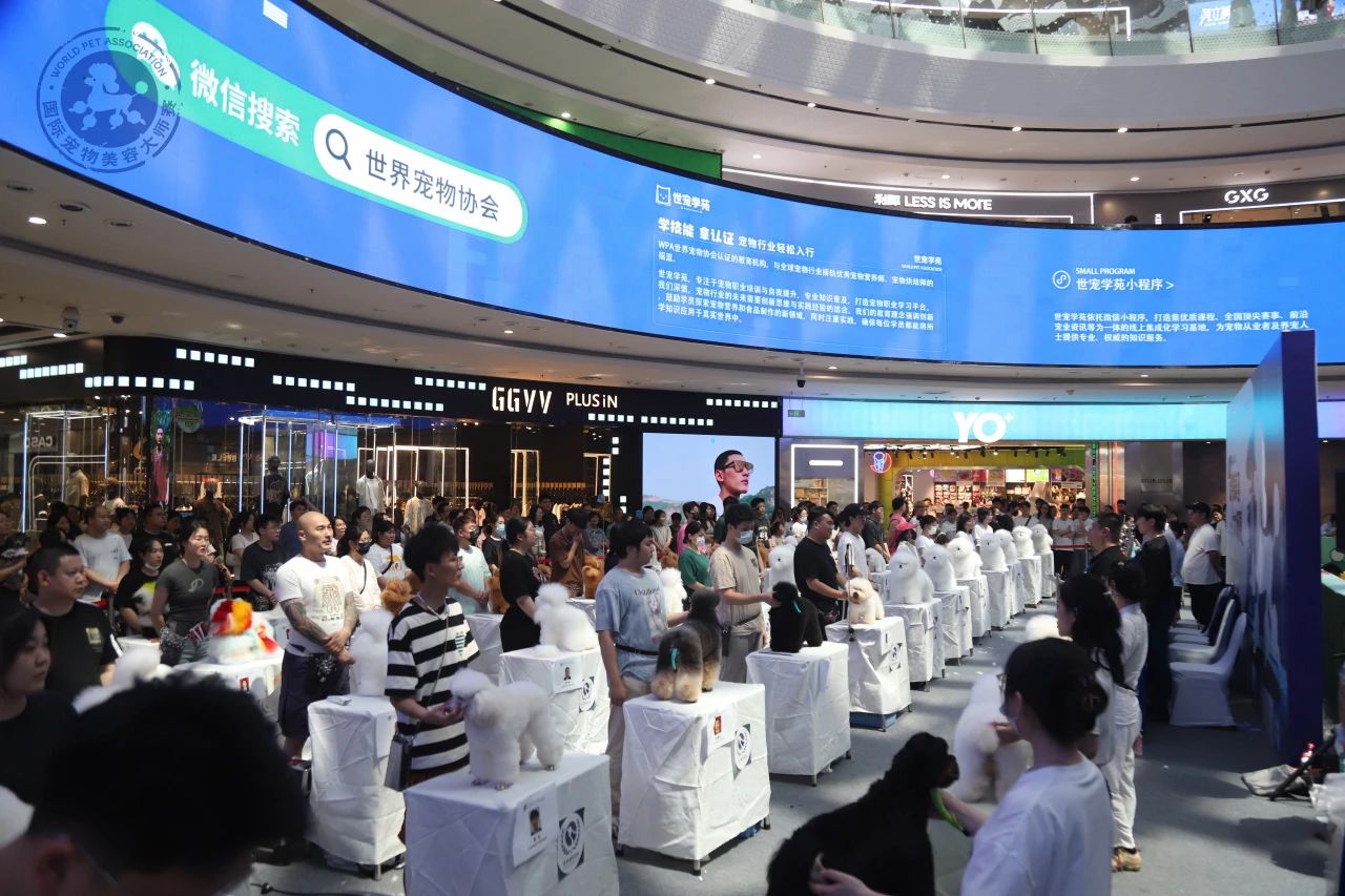 WPA国际宠物美容大师赛南京站 感谢所有选手对WPA赛事的支持与信任