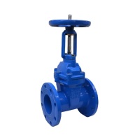 明杆软密封闸阀