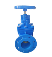 暗杆硬密封闸阀