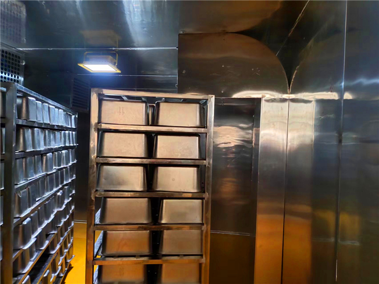 adria-tormo-VtppxC-GfZs-unsplash