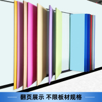 masterxuandisplay065