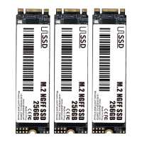 256GB_M.2NGFF