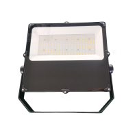 LED Flood light