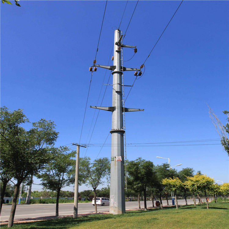 Electric pole