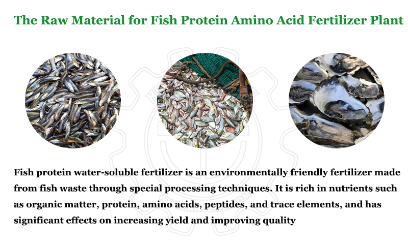 鱼蛋白原料 鱼蛋白原料