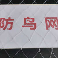 防鸟网-0.5mm2cm×2cm-5