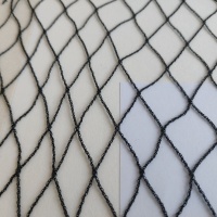 防鸟网-黑1mm2cm×2cm-5