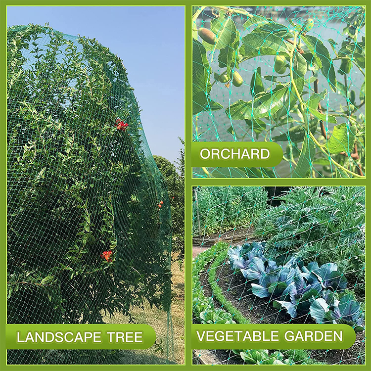 15mmgreenpeantibirdnet-05