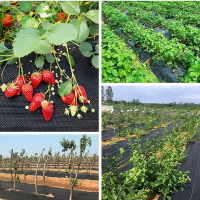 weedmatlandscapefabric-015