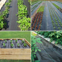 weedmatlandscapefabric-018