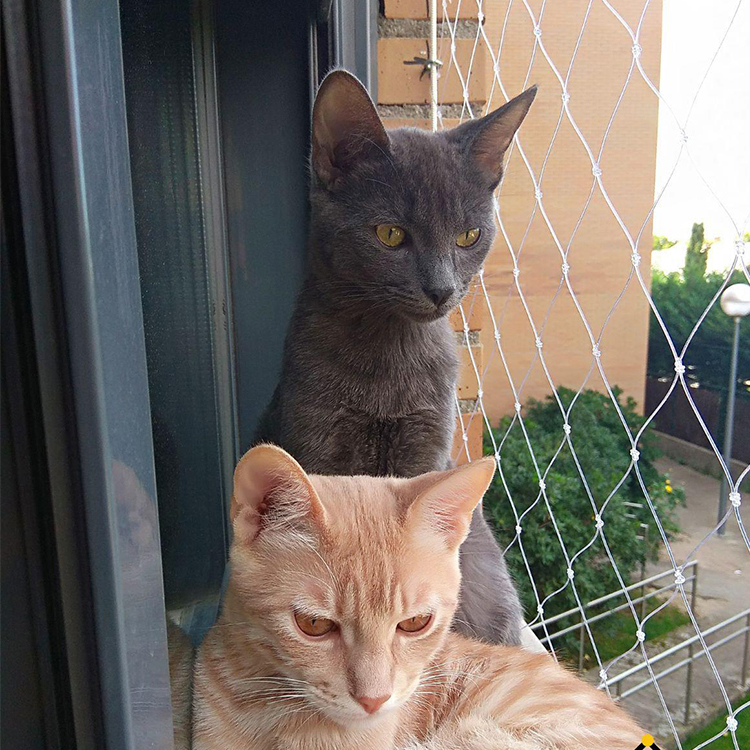 catbalconymeshsafetynet-02