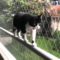 catbalconymeshsafetynet-05