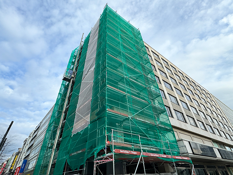 Scaffolding Safety Net