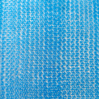 100GSMbluedebrisnet-04