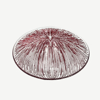 资源3@4x11d拷贝21