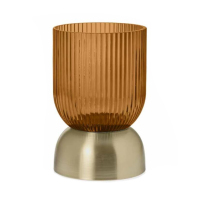 QQ截图20231228152911