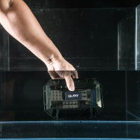 DSC_6202副本800x800